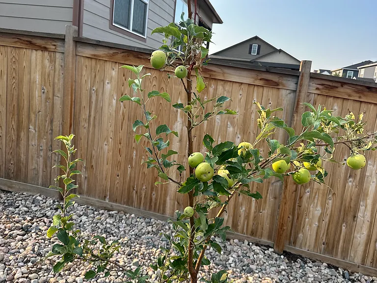 225 Ptarmigan Ln — Photo 18