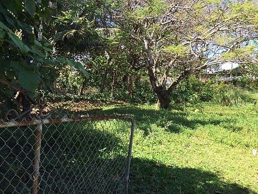 3rd image of 5-7186 Kuhio Hwy #64