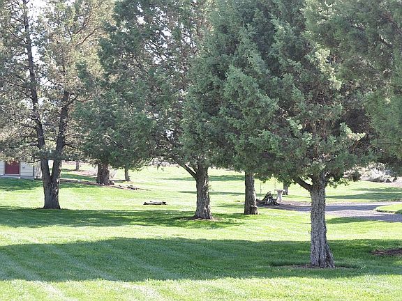 Front yard, facing South