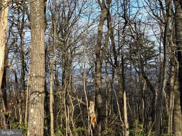 162 Bobcat Ct, Winchester, VA 22602