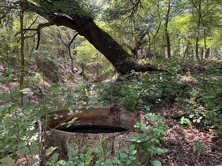 Spring fed pond on property