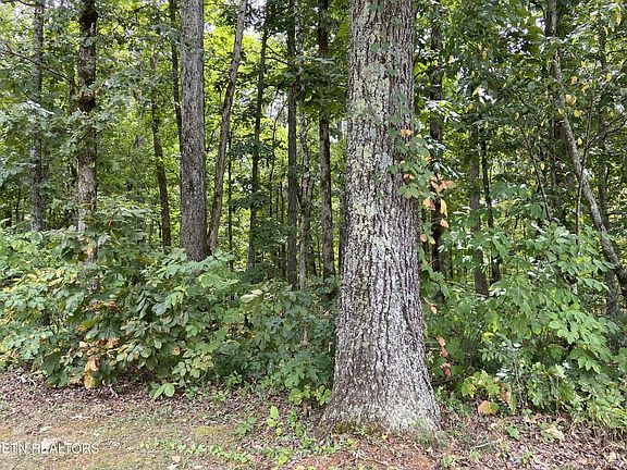 5th image of 412 Alfred McCammon Rd Lot 1