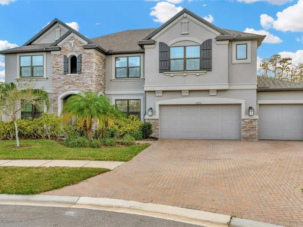 10705 Foxtail Pasture Way, Tampa, FL 33647