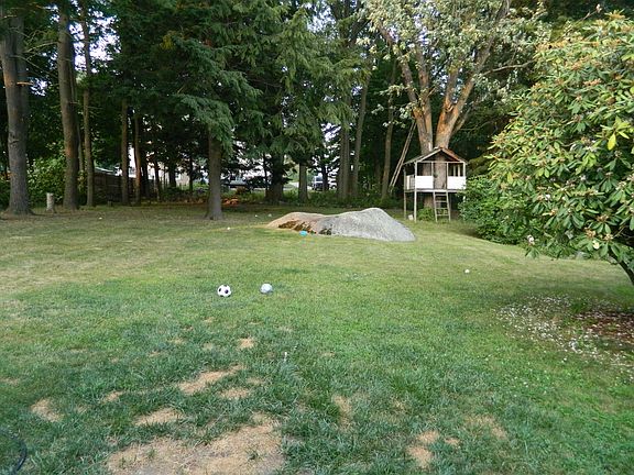 Large private back yard 