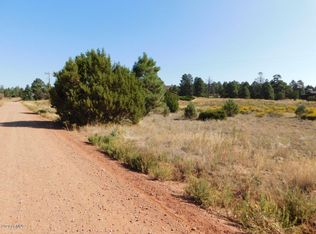 2769 Sunflower Dr LOT 203, Overgaard, AZ 85933