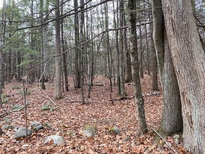 55 Wendell Rd Lot 55, New Salem, MA, 01355