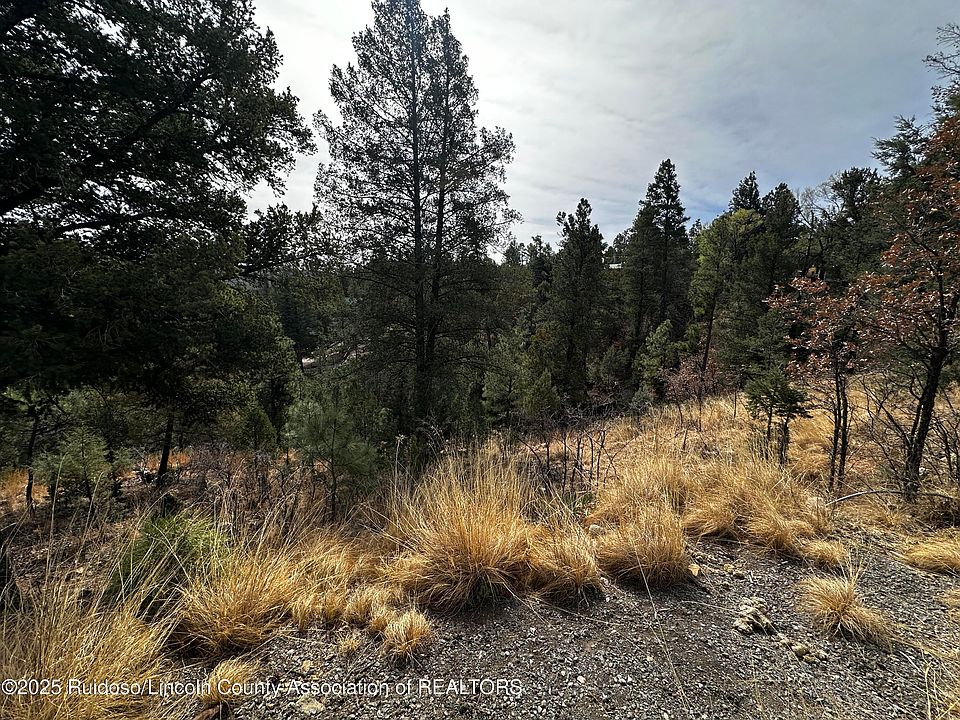 2nd image of 110 Nopal Ln