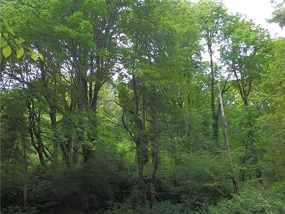 Fully treed and ready for your touch and needs