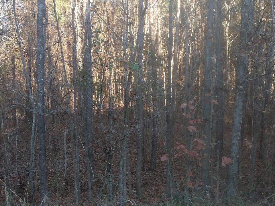 2nd image of Horton Rd