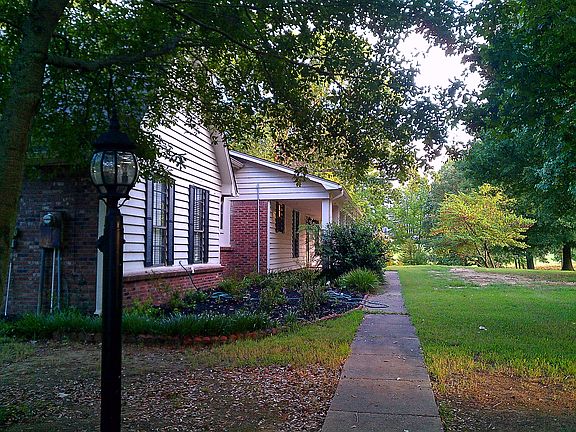 view from shaded driveway