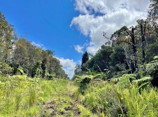 18-2333 Road 6 LOT 363, Volcano, HI 96785