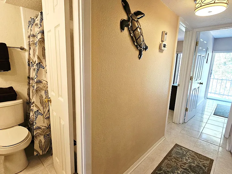 Guest bath & hallway to bedroom