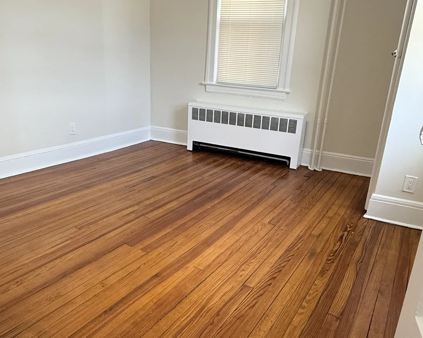 81 Wallace, 39 Maynard - Tuckahoe: - Storage #1 — Photo 4