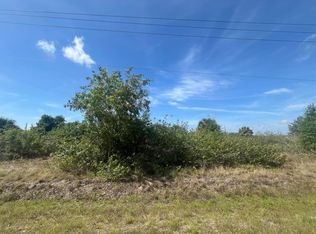 2113 Unice Ave N, Lehigh Acres, FL 33971