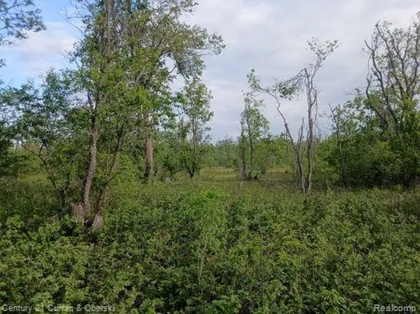 0 Finnegan Rd, Johannesburg, MI 49751