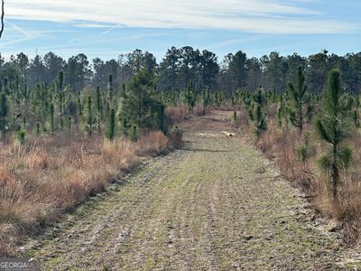 0 Shady Ln, Sylvania, GA, 30467