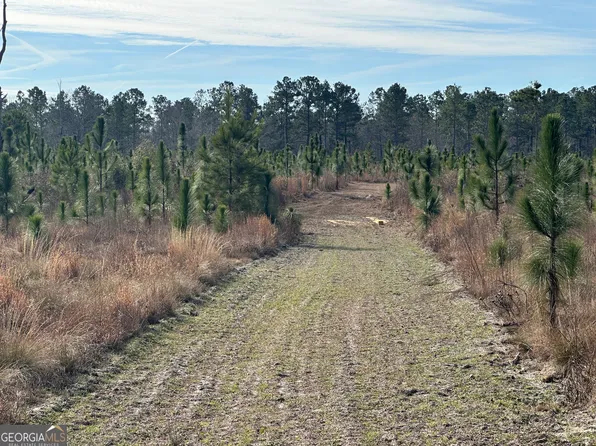 0 Shady Ln, Sylvania, GA 30467