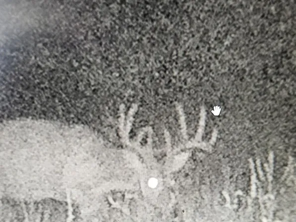 0 State Route 147 Hwy, Vienna, IL 62995