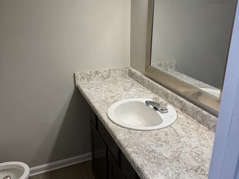 4747 Lambs Rd — Photo 22
