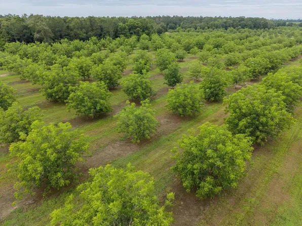 9953 Gravel Hill Rd, Albany, GA 31705