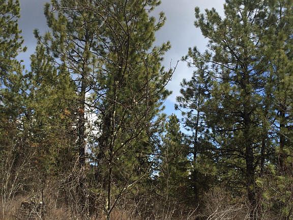 5th image of 6341 W Wapiti Trl