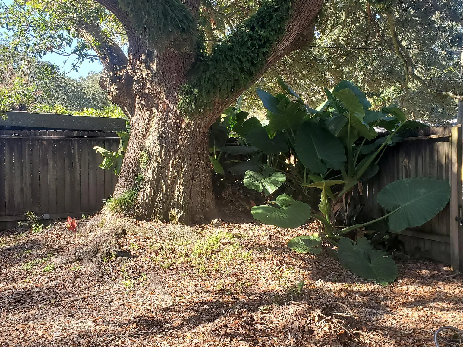 427 Adrienne St — Photo 4