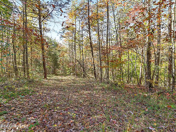 54th image of this home