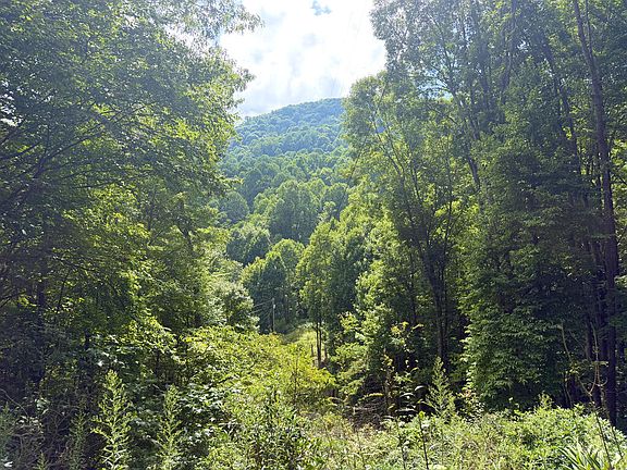 5th image of Ned Cove Rd