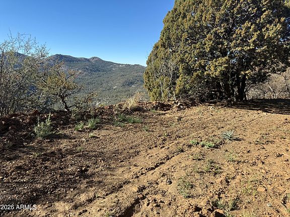 5th image of 22560 S GLADIATOR MINE Road #-