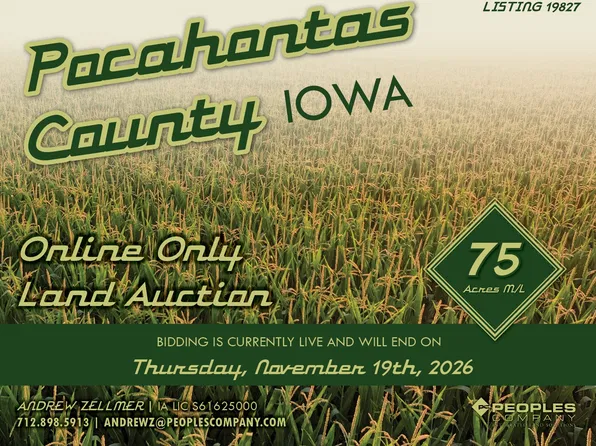 Iowa State Hwy #4, Havelock, IA 50546