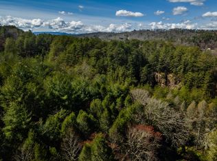 1976AC Spring St, Mineral Bluff, GA 30559