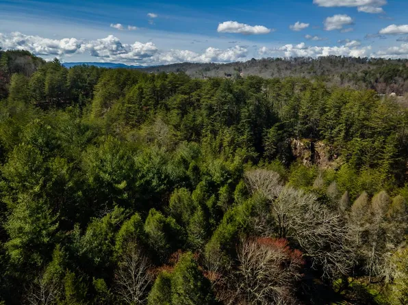 1976AC Spring St, Mineral Bluff, GA 30559