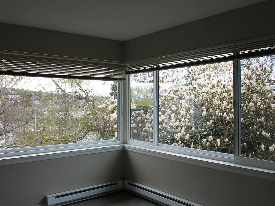 View out the living room windows with the magnolia tree.