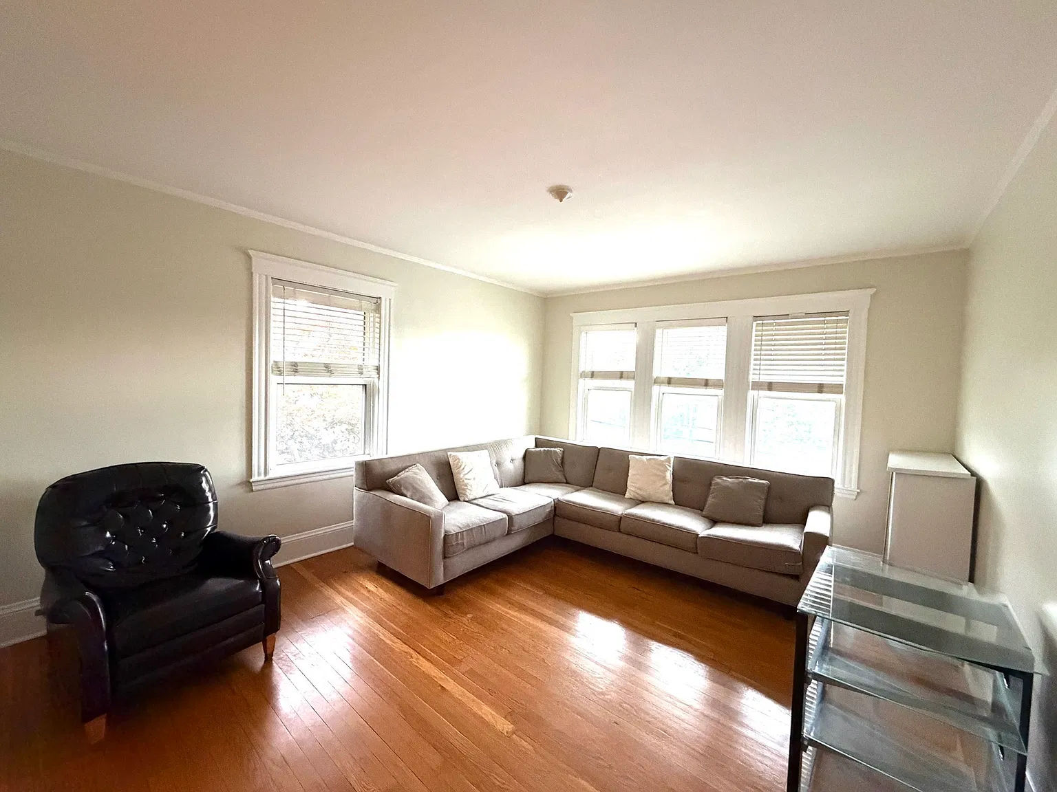 3 bed, 1.0 bath, 1100 sqft, $3,100 — Photo 4