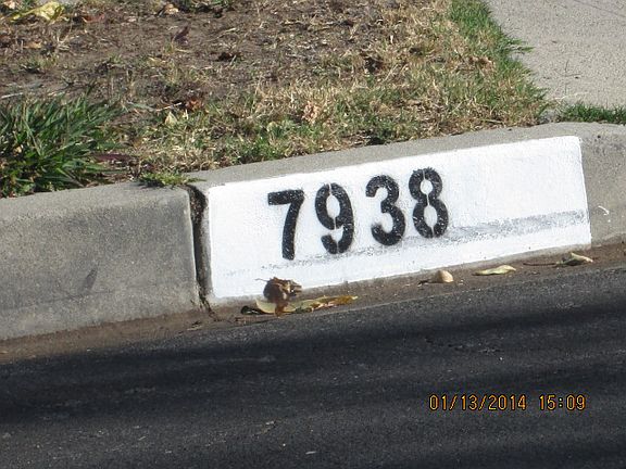 5th image of 7938 Andasol Ave