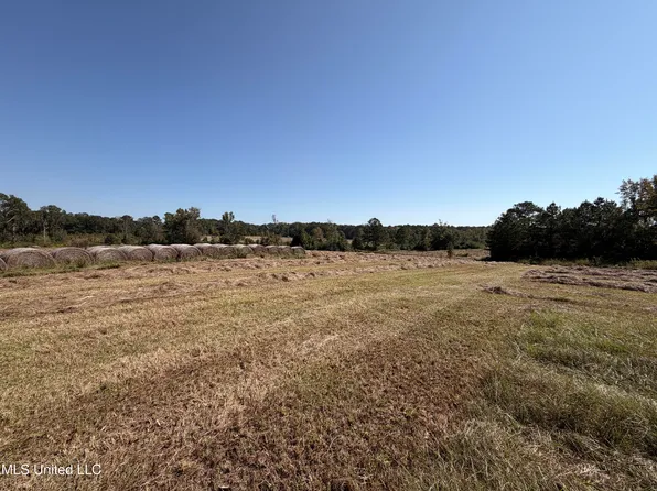 Summit Dr SW, Bogue Chitto, MS 39629