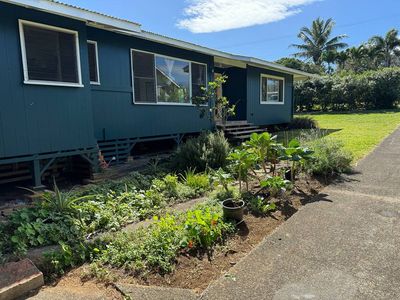 53-4291 Akoni Pule Hwy, Kapaau, HI, 96755