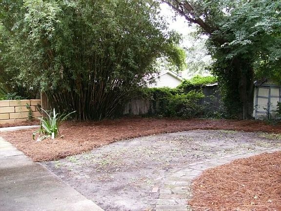 Back Yard | Additional Parking