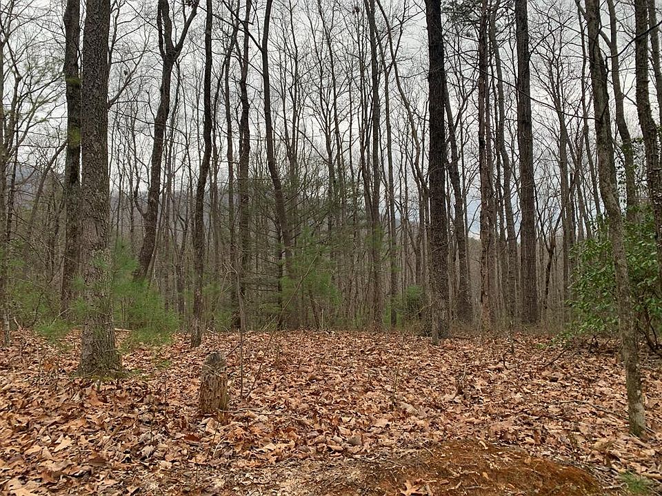 2nd image of 3.38 Hendrix Road LOT 1,3&4
