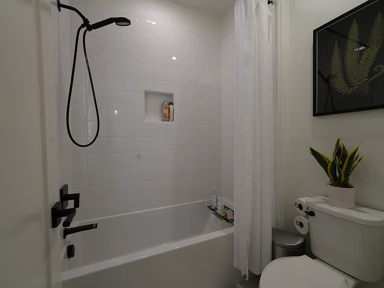 145 Plum Lily — Photo 24