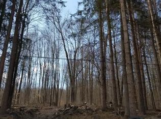 915 Page Brook Rd, Whitney Pt, NY 13862