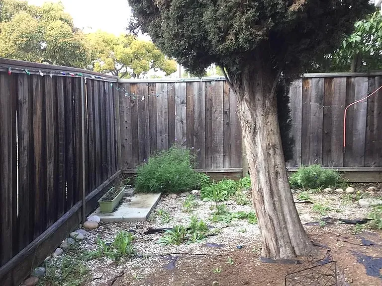 3121 Alma St — Photo 2