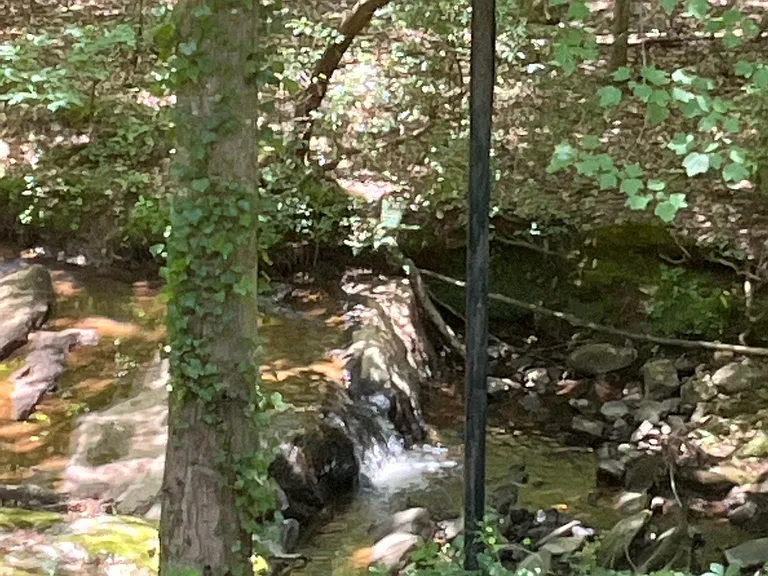 Rear view from deck