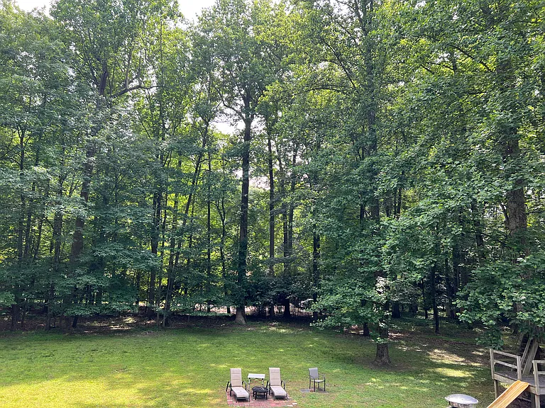 rear yard