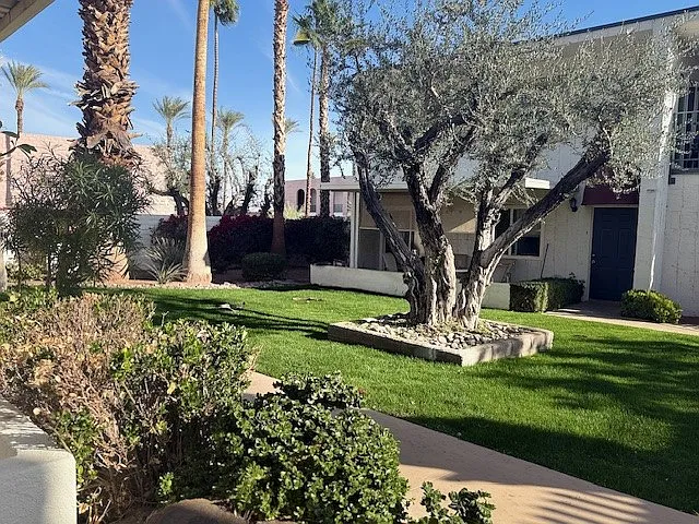 45270 Panorama Dr #A11 — Photo 37