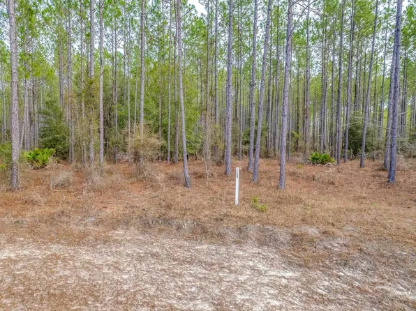 12329 Trotting Horse Ct, Tallahassee, FL 32305