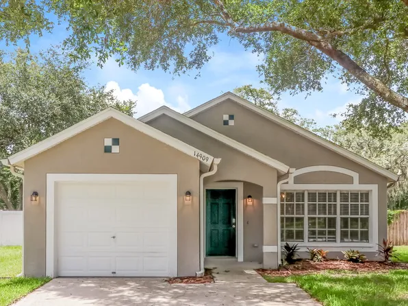 14909 Stag Creek Cir, Lutz, FL 33559