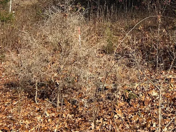 Powell River Rd, Tazewell, TN 37879