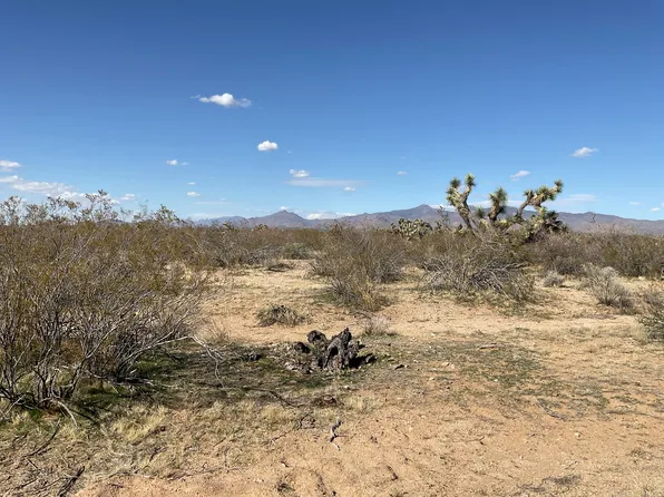 E Red Barrel Dr, Yucca, AZ 86438