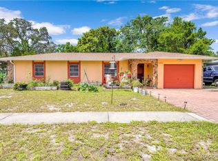 6766 Treehaven Dr, Spring Hill, FL 34606